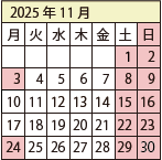 2025N11